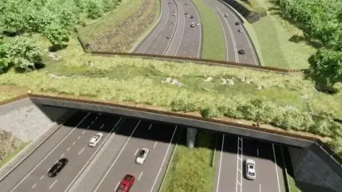 A graphic design of the proposed A417 missing link scheme. It shows a green wildlife corridor over a motoway. 