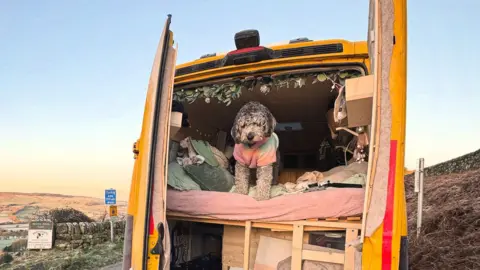 Ella Dungey Ella Dungey's dog is perched on a bed in the back of her van, which looks comfortable with pillows and sheets. The back doors of the van are open and the picture has been taken from outside the vehicle, which is parked in a hilly area of countryside.