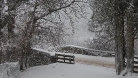 Spey Girl/BBC Weather Watchers Nethy Bridge