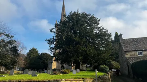 St Cyr Church with a large evergreen tree in front of it and a cemetary of gravestones