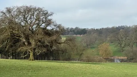 A large, leafless tree stands prominently in the left foreground of a gently sloping green field. Behind it, more trees dot the landscape, some bare and some with early foliage. A small pond is visible near the centre-right, reflecting the muted sky. In the background, partially hidden among the trees, is a long, low stone building on a distant hillside. The scene is calm and pastoral under a lightly overcast sky.