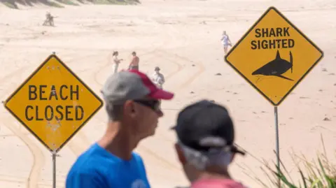 Beach Closed and Shark Sighted signs on a beach, with various people milling around.