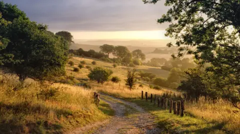 Getty Images A rough track winds downhill in a rural scene. Trees and fields can be seen. There is dark cloud but the sun in shining through.