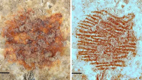 Álvarez-Alonso et al Detail of the red dot obtained after using a photogrammetric process to document the pebble in 3D and a dermatoglyphic image obtained by the multispectral analysis of the red dot