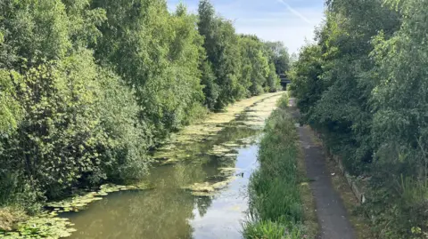 A stretch of canal. To the right is a towpath. Either side are green trees and bushes, and in the background there is a bridge,