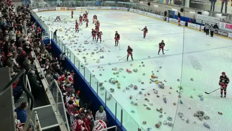 Swindon Wildcats An ice hockey rink with players on it which has hundreds of teddy bears which have been thrown onto the ice by spectators. The players appear to be using their hockey sticks to gather up the teddy bears.