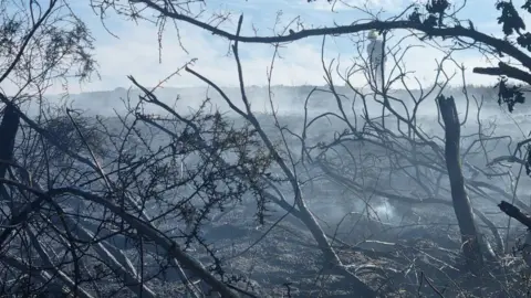 Dorset and Wiltshire Fire and Rescue Service A burnt out heath area