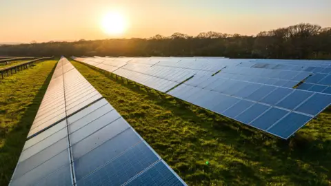 Rows of solar panels in a field. The sun is setting in the background.