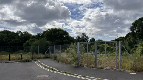 A view of a grass area behind a high wire fence. A road and a pavement are in front of the entrance to the green space. Trees are behind the fence.