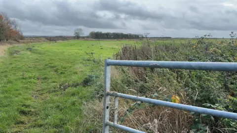 The picture shows a green, flat field. To the right is a metal fence. Behind it is a collection of shrubbery. 