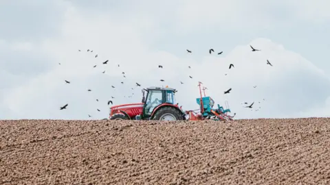Getty Images A red tractor drives through a dirt field, surrounded by flying birds.