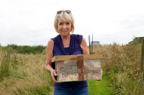 North York Moors National Park Authority Hawsker resident Hilary Koll holding a box of the mice in a field