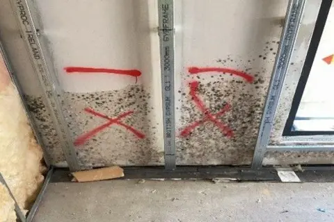 mouldy plasterboard wall panels