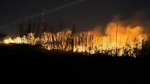 Flames and smoke come up from the ground during the early hours of the morning. The silhouettes of gorse plants can be seen against the flames.