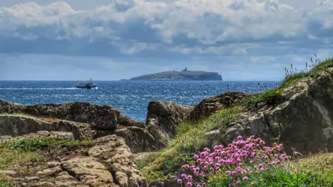 Isle of May seen from a coastal path