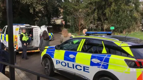 JOANNA TAYLOR/BBC A police car with neon yellow and blue stripes is in the foreground. In the background, a female police officer wearing a hi-vis vest is standing in front of a police van with its doors open. There are three women standing and watching her. 