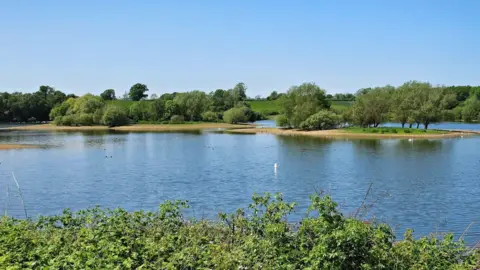 Scorton Lakes pictured in the sun - a large expanse of water, surrounded by trees and grass, with grassy inlets.