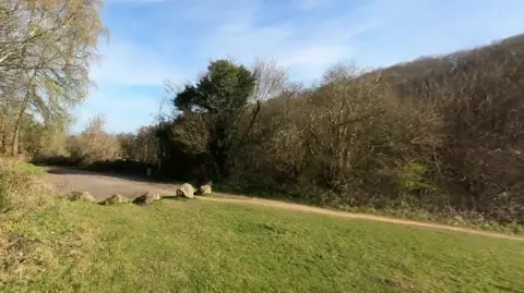 A hill with trees can be seen in the distance with grass in the foreground and several stones near a path