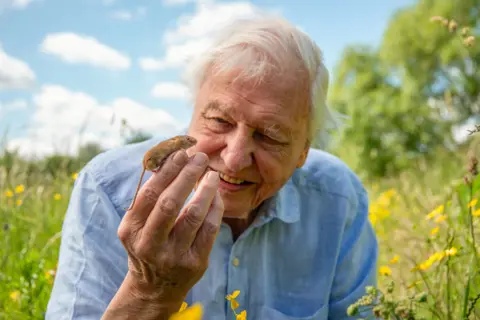 David Attenborough sitting in a meadow surrounded by green fields 