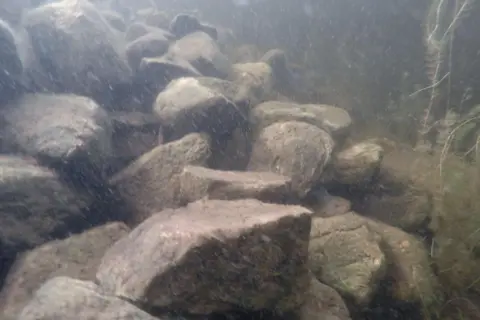 Duncan Ross In an image taken underwater, the rocks are large and covered in slimy algae and slit.