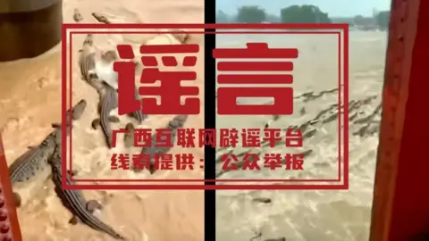 Social media Screenshot of fake AI content in China, purportedly showing crocodiles escaping into a river during a flood