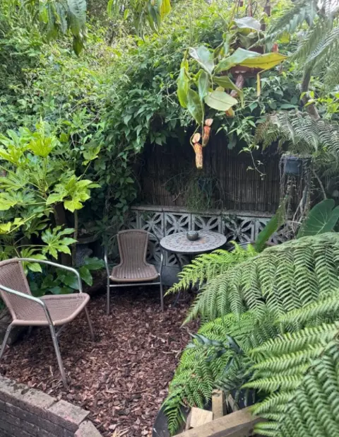 Dave Robinson A seated area in a garden, surrounded by plants