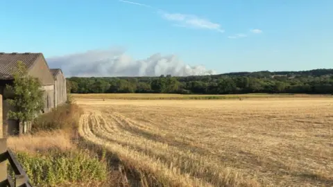 Smoke rising above the New Forest.