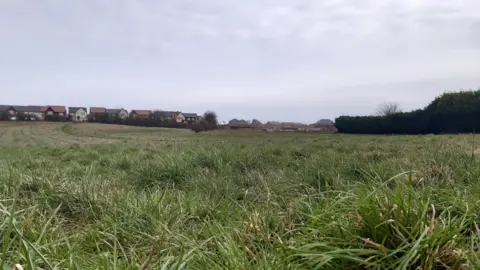LDRS A grass field off Burdon Road which has been earmarked for the proposed homes. Dozen of detached houses are visible on the edge of the field.
