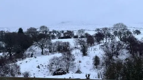 A snow covered landscape with dark trees on the hills