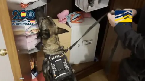 Polisia National A police dog appears in a cupboard with a safe and a small chest of drawer. The image has been watermarks with the Spanish National Police and the logo of Interpol. 