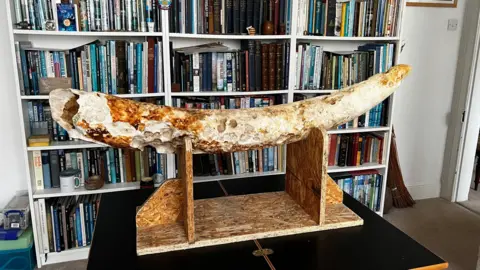 Elephant tusk on a stand