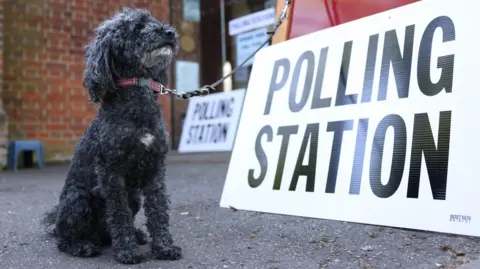 NEIL HALL/EPA-EFE/REX/Shutterstock A curly, dark grey poodle sits on the floor next to a sign which reads POLLING STATION in large black letters on a white background