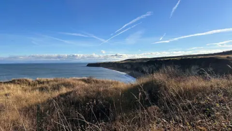 Durham County Council Grassland in the foreground, with cliff and sea in the background. The sky is blue with some white clouds visible.