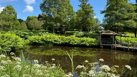 EstherJ/BBC A lake surrounded by trees and bushes in the sun 