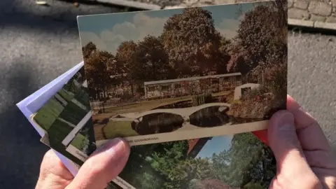 hands hold several postcards from the 1950's showing the park 