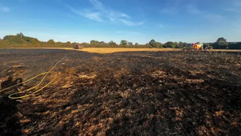 A scorched field with fire crews in the background. The sky is blue and there are no clouds. 