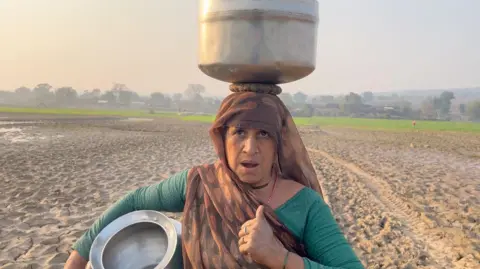 BBC A woman is on a farm in the Bundelkhand region of Madhya Pradesh 