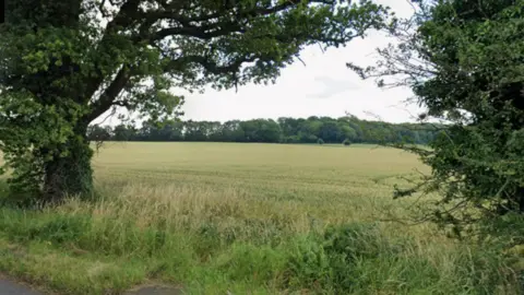 A field with trees in the background and on either side of the picture in the foreground. The verge has some long grass on it.