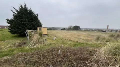 BBC A fallow field surrounded by bracken, trees and an old temporary building.
