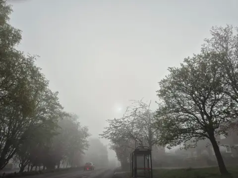 kerry w A foggy road in Ryton, Gateshead, with a car driving away. There is a bus stop on the right and the road is flanked by trees. 