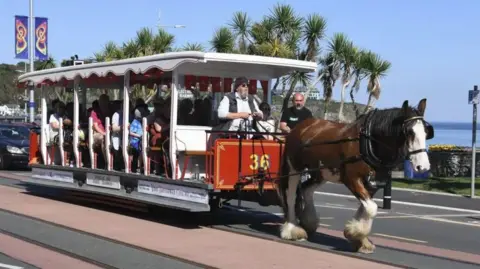 A chestnut and white horse pulling a horse tram full of people along Douglas Promenade on a sunny day.