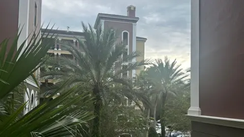 Melissa Rutter Palm trees outside the Hilton Hotel building in Orlando.