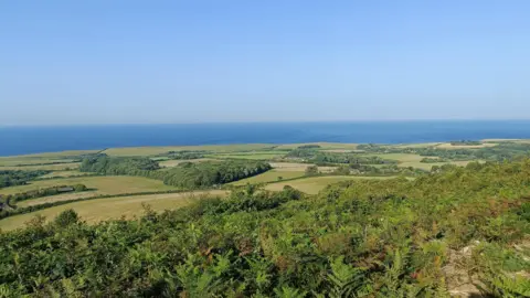 fiona A wide photograph of the green fields looking out at the blue sea and clear blue sky in the distance.
