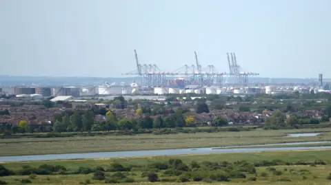 Nick Ansell/PA Images A view of the DW World Thames Gateway's cranes - visible behind the drums of a refinery, with housing, trees and marsh in the foreground