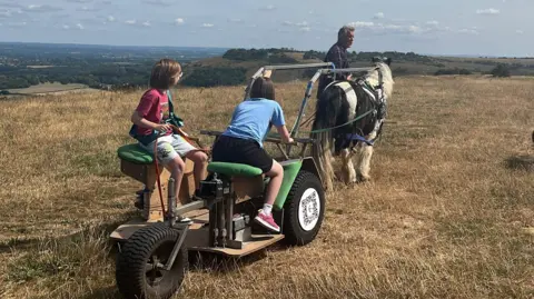 A horse pulling a cart on some grass. 