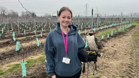 A girl standing in a field. She is holding a blindfolded bird of prey on her arm. 