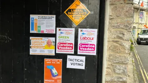 Campaign posters encouraging tactical voting for Caroline Voaden