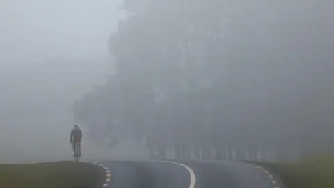 Back of cyclist on road in foggy conditions. Trees are on the right.