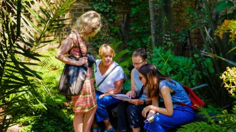 Finlay Nichols Community Garden at Tate Modern
