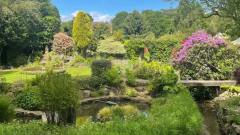 A green garden with a variety of plants and flowers growing around a stream with a wooden bridge over it. The sun is shining and the grass is a vibrant green.